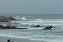 Carmel 10-30-08 244